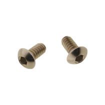  Aircleaner Screw Kit Supplied are 2 screws Stainless Steel 