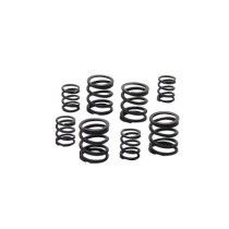  Valve Spring Kit Pan/Shovel 