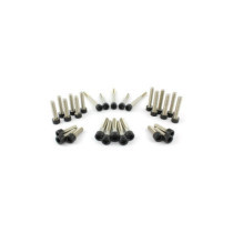  Complete Engine Screw Kit Screws for Indian Bagger, Cruiser, Touring Cam-, Inner Cam-, Sprocket-, Primary Cover, Starter, Horn 