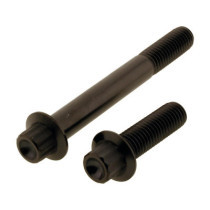  Titan Front Brake Caliper Screw Kit 2-Piece Black 