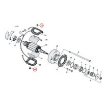 Generator field pole screws