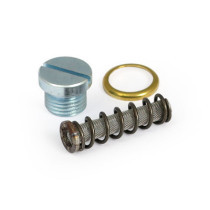 Oil screen kit, crankcase. L66-69 B.T.