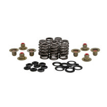 KPMI, .550" high lift valve spring kit. Steel