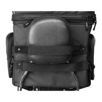 Nelson Rigg, Route 1 Rover pet carrier black