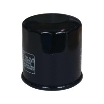  Oil Filter for Indian Black 