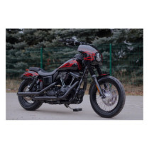 Killer Custom, Dyna fairing kit