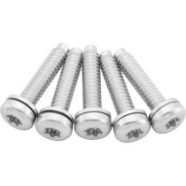  OEM Replacement Fuel Pump Screws for Sportster Models 