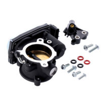 Throttle body kit