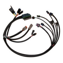 Namz, OEM style complete EFI Harness