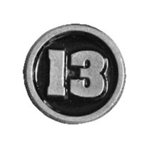  diese 13 BIKER PIN