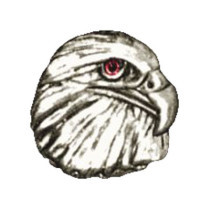 Biker Pins Eagle head pin