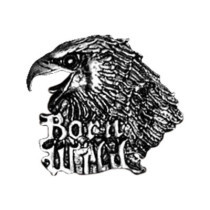 Biker Pins Born wild eagle pin