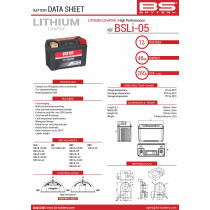 BATTERIE LITHIUM BSLI05