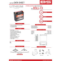 BATTERIE LITHIUM BSLI03