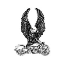 Biker Pins Eagle on bike pin