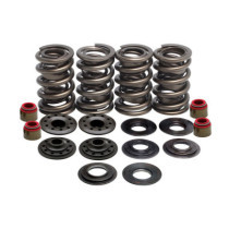 KPMI, valve spring kit. .630" lift. Steel top collars