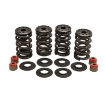 KPMI, valve spring kit. .600" lift. Steel top collars