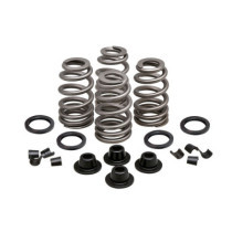 KPMI, Beehive valve spring kit. Steel. .660" lift