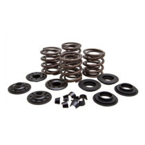 KPMI, valve spring kit. .600" lift. Steel top collars