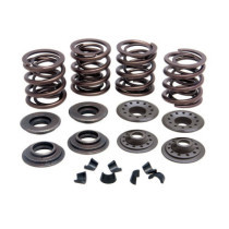 KPMI, valve spring kit. .415" lift. Steel top collars