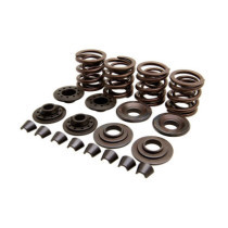 KPMI, valve spring kit. .400" lift. Steel top collars