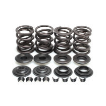 KPMI, valve spring kit. .600" lift. Steel top collars