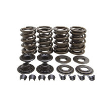 KPMI, valve spring kit. .655" lift. Steel top collars