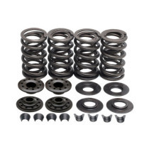 KPMI, valve spring kit. .600" lift. Steel top collars