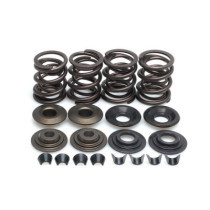 KPMI, valve spring kit. .600" lift. Aluminum top collars