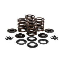 KPMI, valve spring kit. .415" lift. Steel top collars