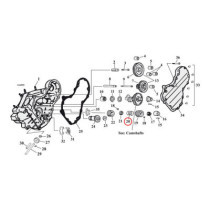 SPRING, PINION SEAL RING