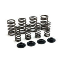 Manley, valve spring kit. Steel. Std to .550" lift