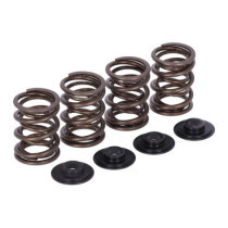 Manley, valve spring kit. Stock to .456" lift