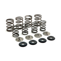 Manley, valve spring. Stock to .495" lift