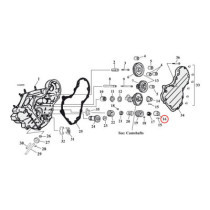 Bushing, pinion shaft. Std size