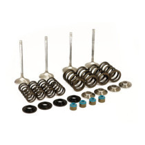 Manley, Race Master valve kit. Stock - .650" valve lift