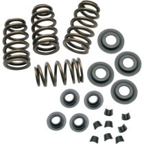 VALVE SPRING KIT SIDEWINDER 0.650"