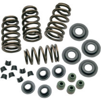 VALVE SPRING KIT SIDEWINDER 0.650"