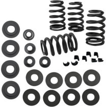 0.585" Valve Spring Kit