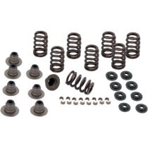 SPRING KIT VALVE HEAVY DUTY M8 ENGINES