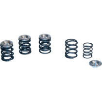 DUAL VALVE SPRINGS