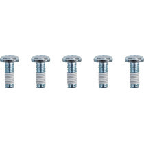 SCREWS R RTR 3/8-16TORX