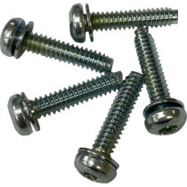 SCREW EFI MNT(1081A) 5PK