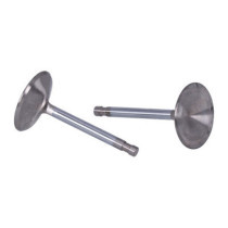 Manley, Severe Duty stainless valves, intake. STD