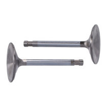 Manley, Severe Duty stainless valves, intake. STD