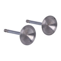 Manley, Severe Duty stainless valves, intake. STD