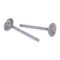 Manley, Severe Duty stainless valves, intake. STD