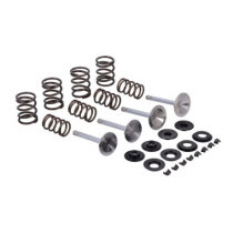 Manley, Race Master valve kit. Stock - .495" valve lift