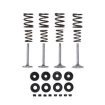 Manley, Race Master valve kit. Stock - .495" valve lift