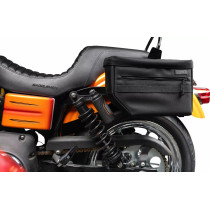 Supports de sacoches Thrashin Escape et Essential - Harley Davidson Dyna à partir de 1999, Softail à partir de 2018